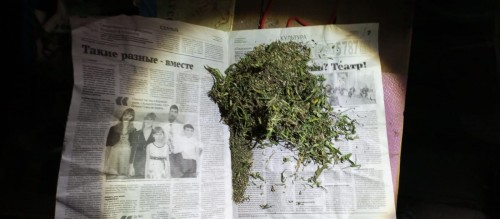 Саракташскими полицейскими изъято более килограмма наркотиков растительного происхождения