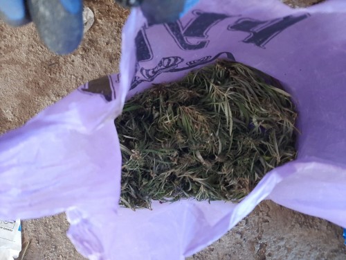 Саракташскими полицейскими в рамках ОПМ «»Мак» изъяты наркотики растительного происхождения