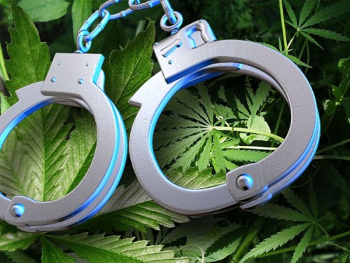 Новоорские полицейские задержали мужчину за хранение наркотических средств