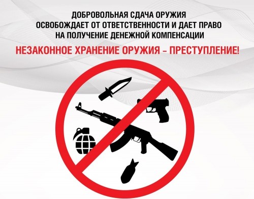 МО МВД России по ЗАТО Комаровский предупреждает: незаконное хранение оружия - преступление!