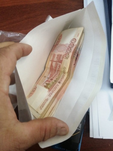 В с. Ташла участковым уполномоченным полиции задержана подозреваемая в хищении 324 000 рублей.