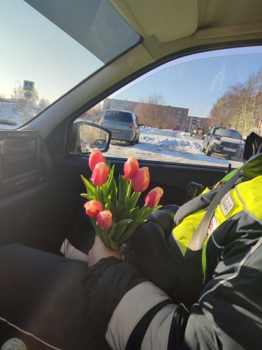 Тюльпаны для автоледи