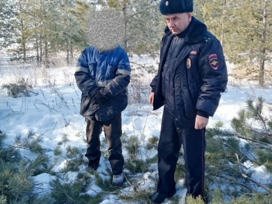 Курманаевскими полицейскими выявлен факт незаконной рубки леса