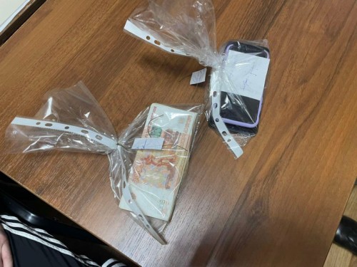 Полицейские Новотроицка задержали подозреваемых в мошенничестве жителей Челябинска