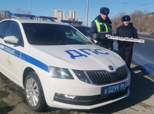 Оренбургские госавтоинспекторы провели акцию «Водитель – пропусти пешехода!»