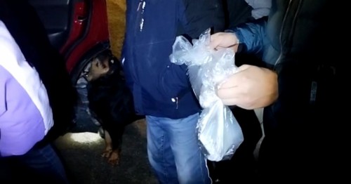 В Оренбургском районе полицейские пресекли сбыт крупной партии наркотиков