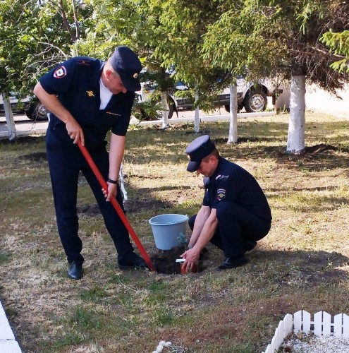 Саракташские полицейские присоединились к акции «Сад памяти»