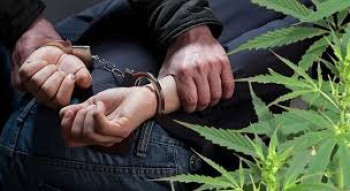 Сотрудниками полиции обнаружена и изъята марихуана
