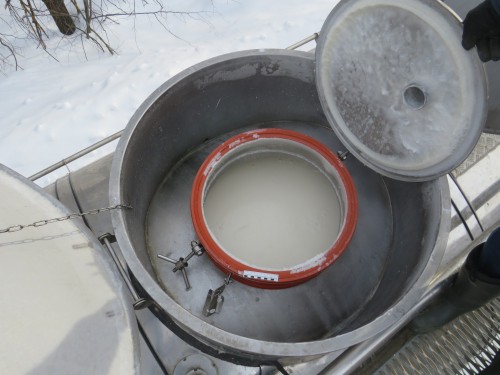 В Абдулинском районе полицейские задержали подозреваемых в краже сырого молока на сумму более 40 000 рублей