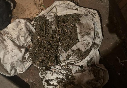В Бугурусланском районе полицейские изъяли у 41-летнего местного жителя более 730 граммов марихуаны