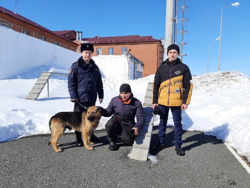 Традиционно в Оренбургской области полицейские совместно с представителем Общественного совета провели день открытых дверей для старшеклассников