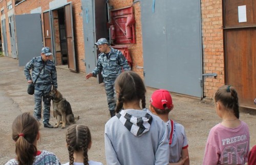 В Бугуруслане для школьников, пребывающих в лагере дневного пребывания МБОУ ООШ №5, провели День открытых дверей