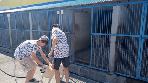 В Оренбургской области в День кинологической службы воспитанники реабилитационного центра «Гармония» познакомились со служебными собаками