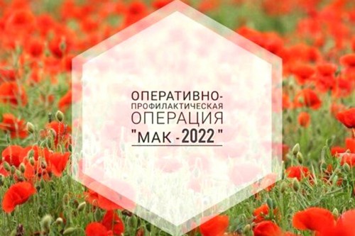 В Оренбургской области проходит 1 этап межведомственной комплексной оперативно-профилактической операции «Мак-2022»