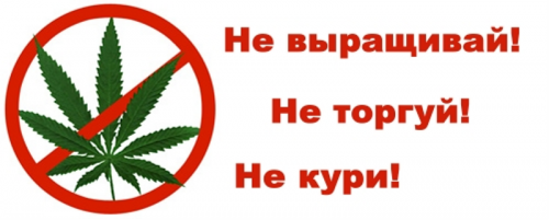 Сотрудники ОМВД России по Саракташскому району проводят 1-й этап оперативно-профилактической операции «Мак - 2022»