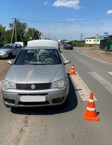 Сотрудники Госавтоинспекции Сорочинского городского округа устанавливают обстоятельства дорожно-транспортного происшествия, в результате которого пешеход получил телесные повреждения.