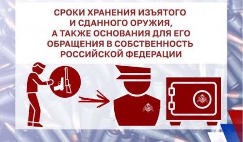 Росгвардия напоминает о сроках хранения изъятого и сданного оружия, а также основаниях для его обращения в собственность РФ