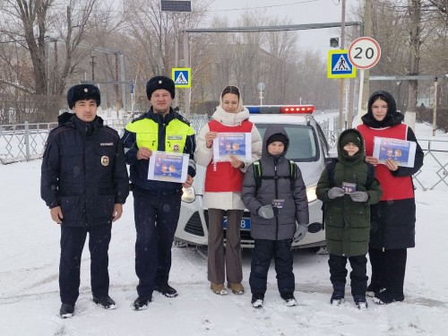 В ГО ЗАТО Комаровский прошла акция "Засветись" 